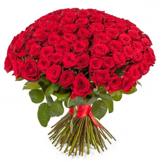Букет из 151 розы (50 см)