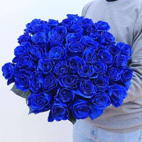 Букет из 48 синих роз