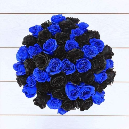 Микс из 48 черных и синих роз