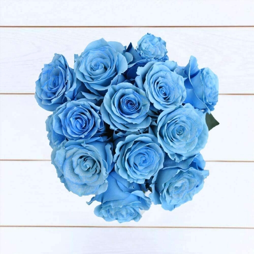 Букет из 12 голубых роз