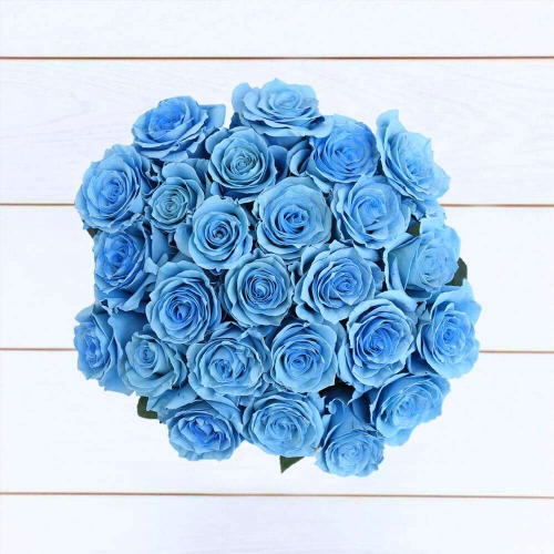Букет из 24 голубых роз
