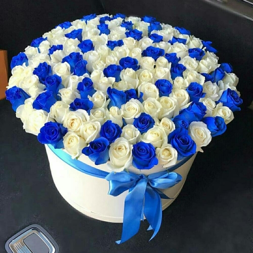 Микс из 101 синих и белых роз в шляпной коробке