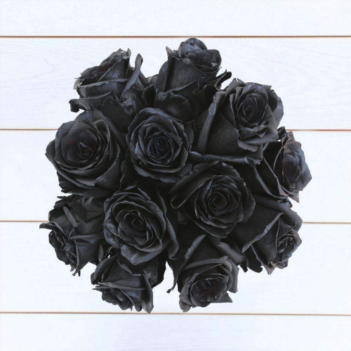Букет из 12 черных роз