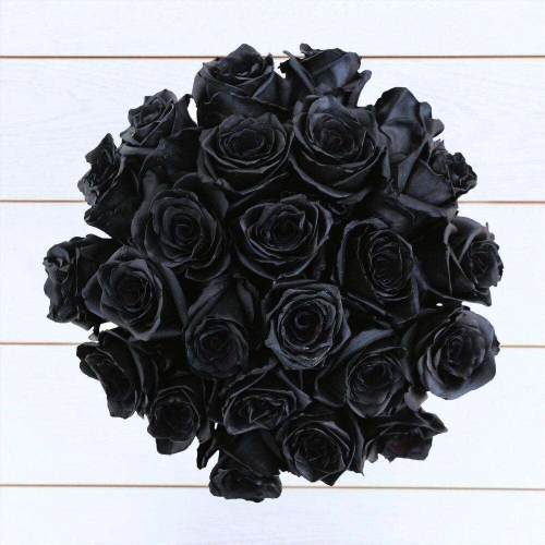 Букет из 24 черных роз