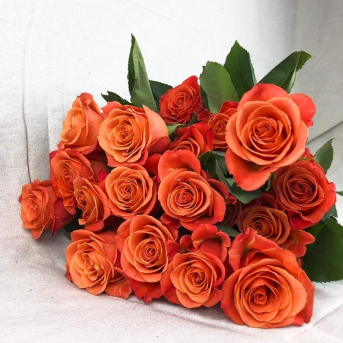 Букет из 24 оранжевых роз