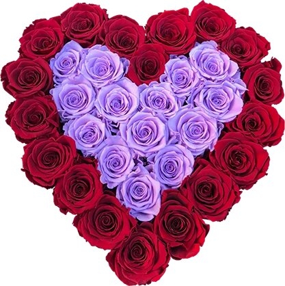 Микс из 33 фиолетовых и красных роз в коробке