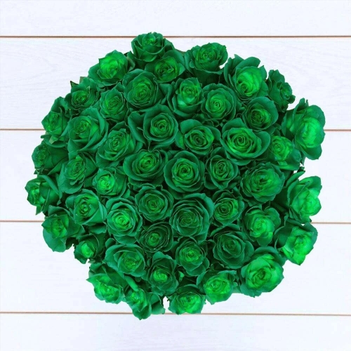 Букет из 48 зеленых роз