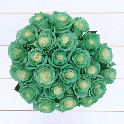 Букет из 24 необычных зеленых роз
