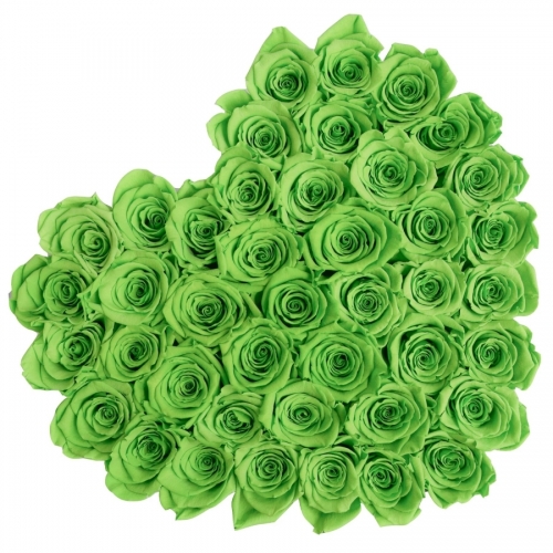 Букет из 42 зеленых роз в коробке
