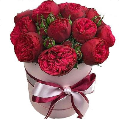 Букет из 9 красных пионовидных роз в коробке