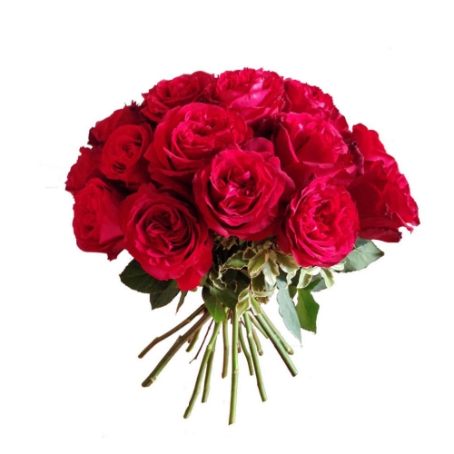 Букет из 21 красной пионовидной розы
