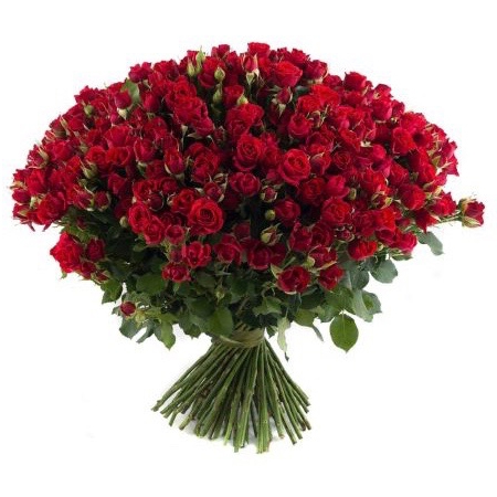 Букет из 51 красной кустовой розы