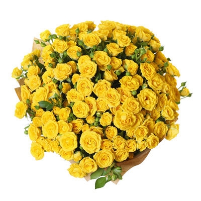 Букет из 35 желтых кустовых роз
