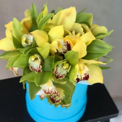Микс из 15 желтых и зеленых орхидей в коробке