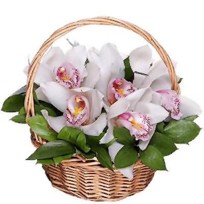 Букет из 7 белых орхидей в корзине