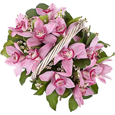 Букет из 9 розовых орхидей в корзине