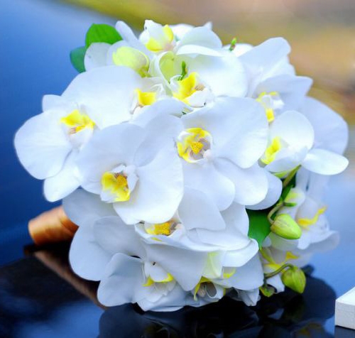 Букет невесте из 9 белых орхидей