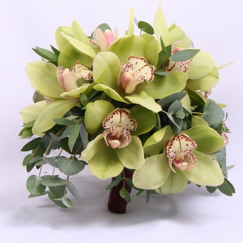 Букет невесте из 11 зеленых орхидей