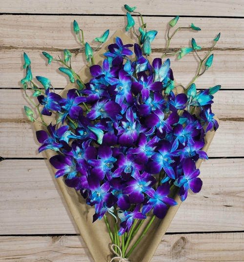 Букет из 21 синей орхидеи