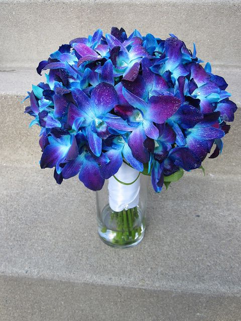 Букет их 15 синих орхидей