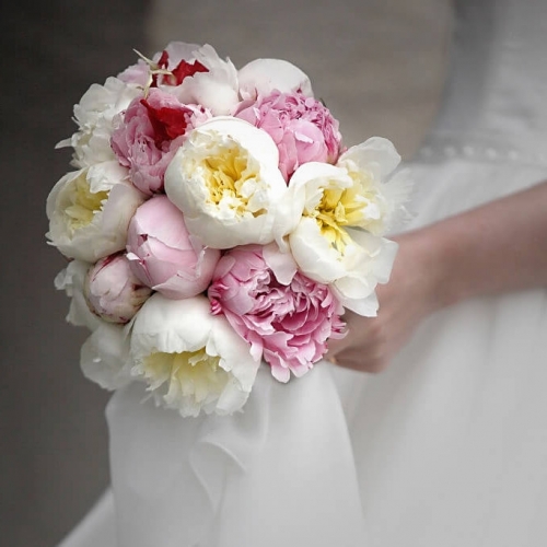 Микс из 15 белых и розовых пионов невесте