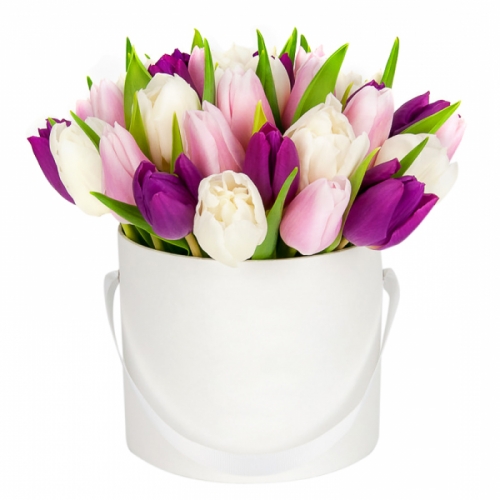 Букет из 25 разноцветных тюльпанов в коробке