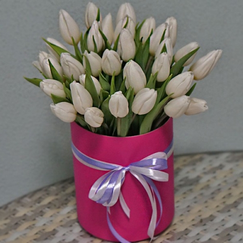 Букет из 25 белых тюльпанов в коробке
