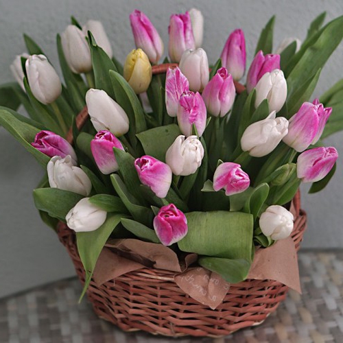 Букет из 25 разноцветных тюльпанов в корзине