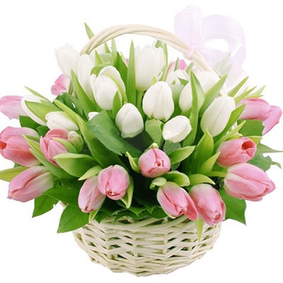 Микс из 35 белых и розовых тюльпанов в корзине