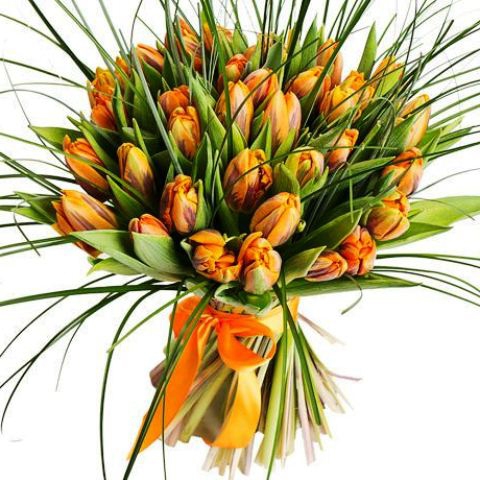 Букет из 31 оранжевого пионовидного тюльпана